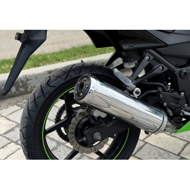 KAWASAKI NINJA 250R