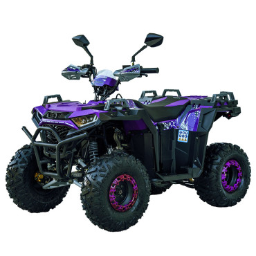 SPARK SP125-11