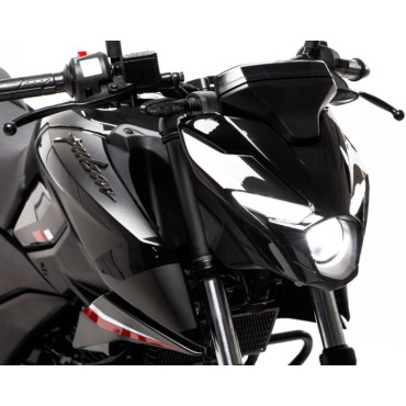 BAJAJ Pulsar N250